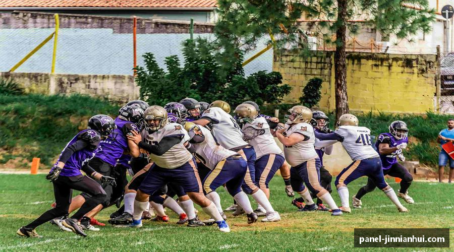 概览金年会注册登录